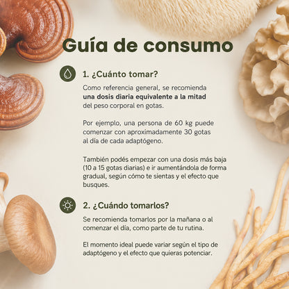 Calma — Extracto premium de Ashwagandha KSM-66 · 50 ml